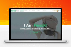 [企业源码]Discuz X3.2模板 Fineck风趣通用企业网站模板 商业版 GBK