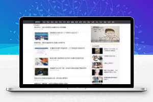 [新闻资讯]PHP新闻小偷采集站源码开源版