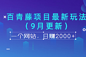 百青藤日赚2千内训项目带工具教程