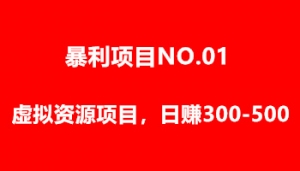 勇哥会员项目：自动收钱虚拟资源项目日赚500插图