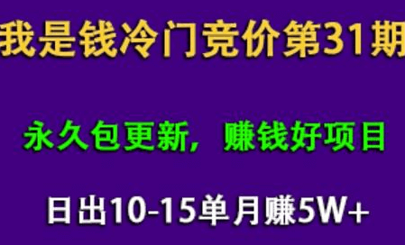 我是钱第31期网授课程网授课百度冷门竞价，日出10-15单，月赚5w+（完结）