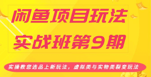 龟课：闲鱼实战项目第9期实操教您选品上新玩法，虚拟类与实物类裂变玩法